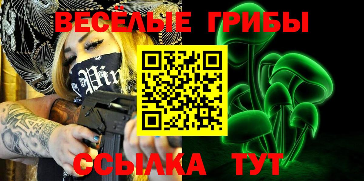 Галлюциногенные грибы MAGIC MUSHROOMS Камень-на-Оби