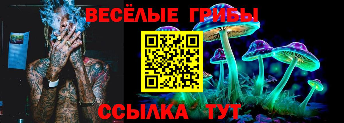 Псилоцибиновые грибы Psilocybine cubensis  Вход с VPN  Галлюциногенные грибы Psilocybe  Камень-на-Оби 