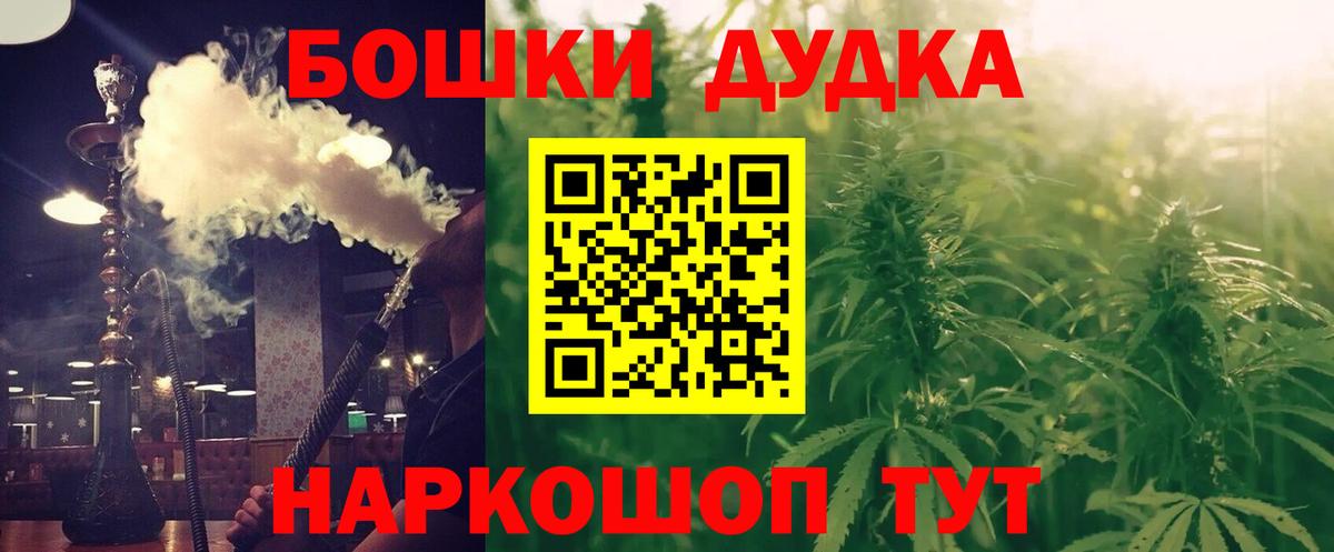 Бошки Шишки планчик Камень-на-Оби